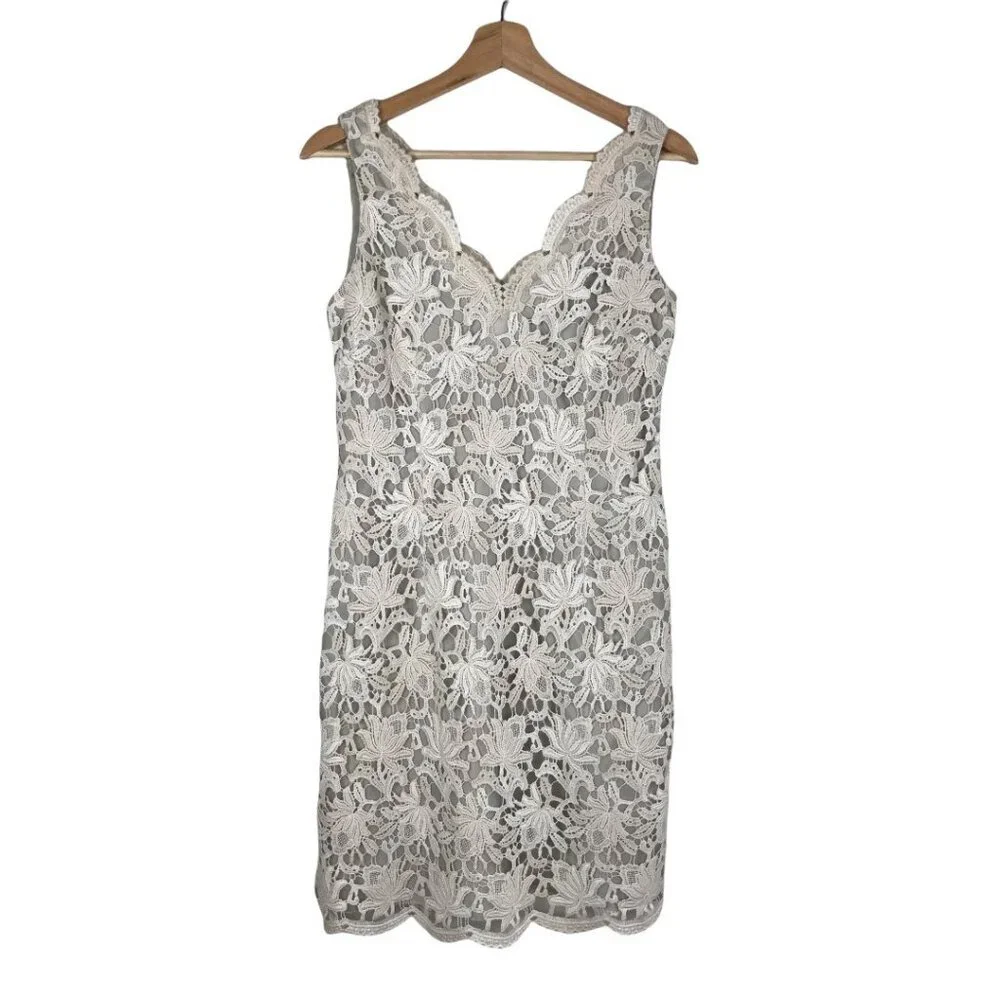 Ann Taylor  Lace V-neck Sleeveless Dress Ivory & Cream Size 2  NWT - Picture 3 of 13